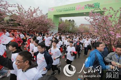 文旅融合新篇章 十二金釵大觀園旅游文化節啟幕，千名跑友共助南川'雙曬'與文藝創作開發
